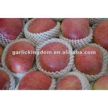 Nuevo cultivo sin Qinguan manzana